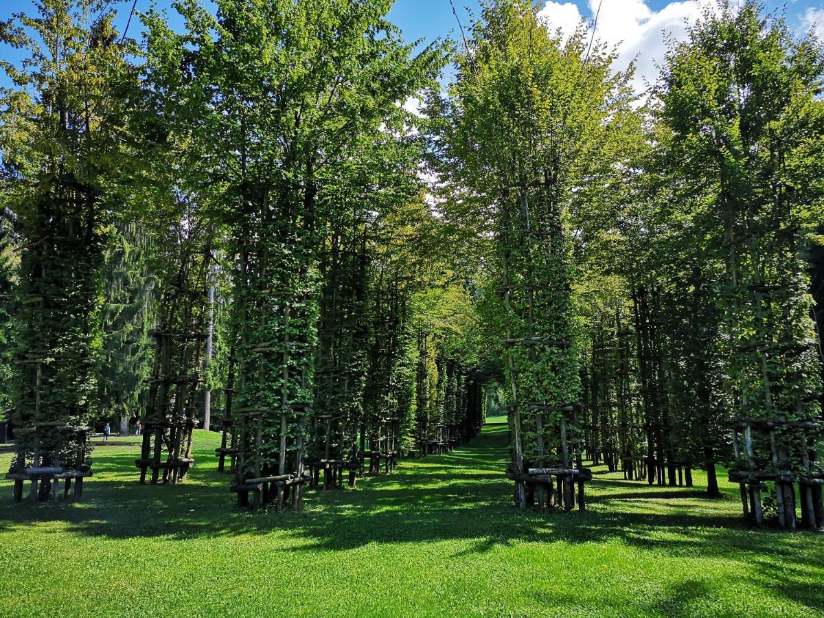 Апартаменты Il Riccio Del Castagno Novaledo Экстерьер фото