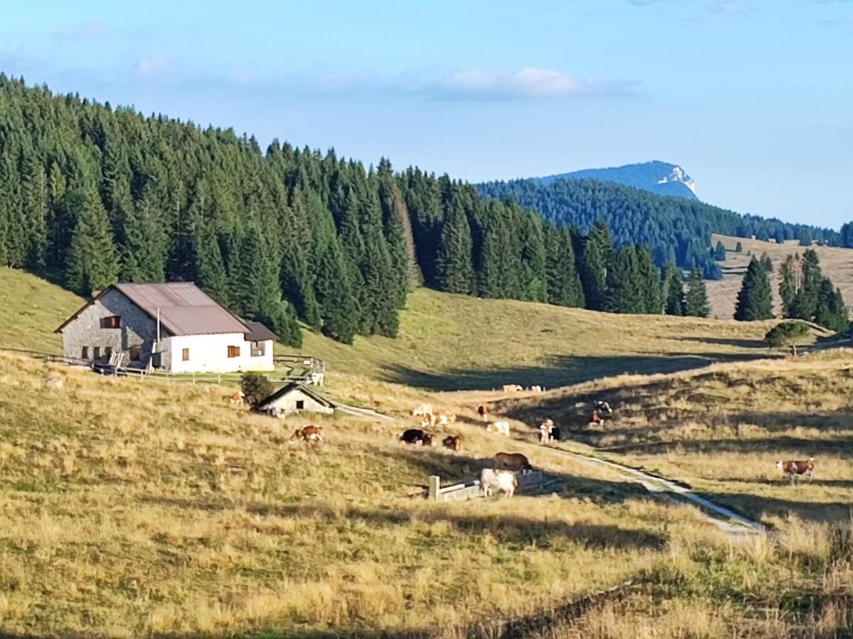 Апартаменты Il Riccio Del Castagno Novaledo Экстерьер фото